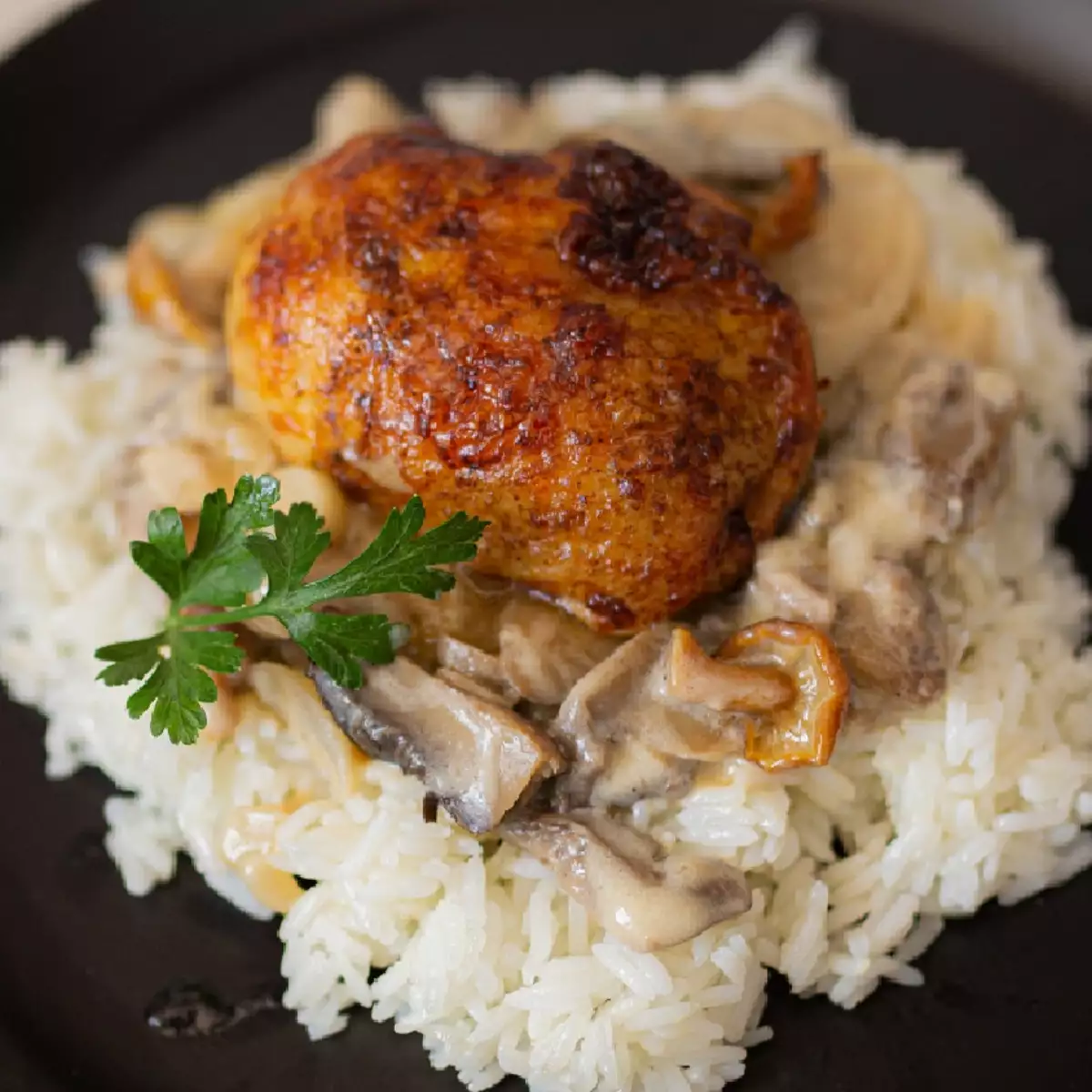 Pavé de poulet  Crème Champignon